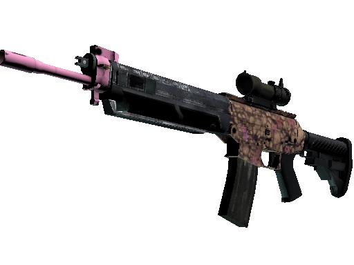 Best SG 553 Skin (CS:GO)